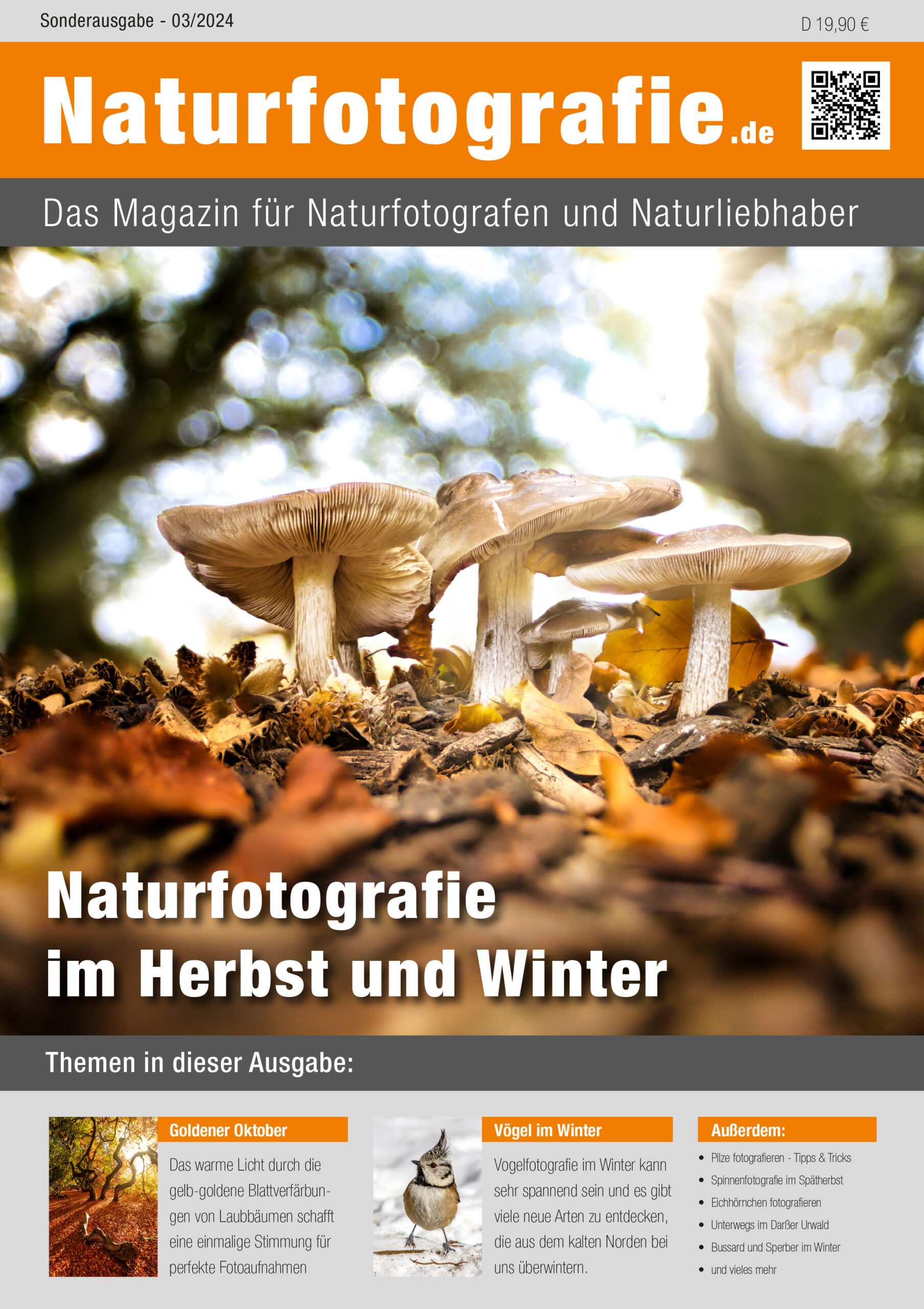 Naturfotografie im Herbst und Winter von naturfotografie.de